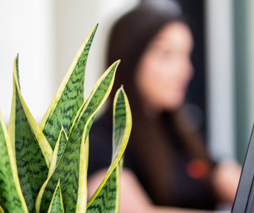 women working at office, unfocused, behind computer